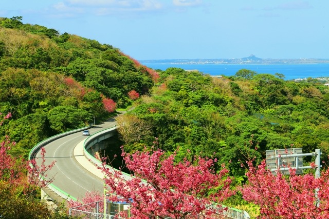 春の沖縄